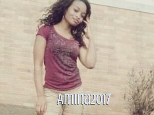 Amina2017