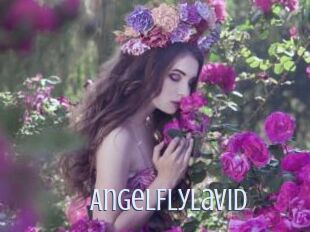 AngelFlyLaVid