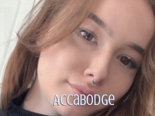 Accabodge