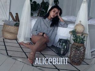 Alicebunt