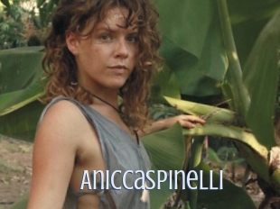 Aniccaspinelli