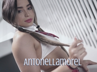 Antonellamorel