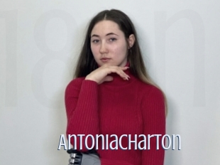 Antoniacharton