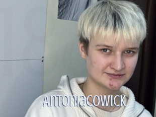 Antoniacowick