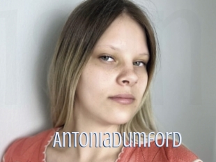 Antoniadumford