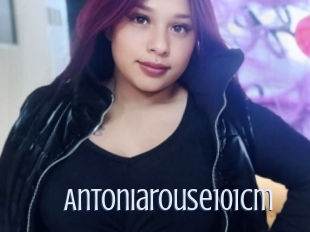 Antoniarouse101cm