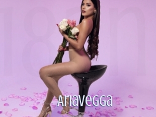 Ariavegga