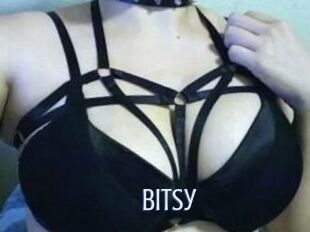 Bitsy_