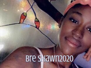 Bre_Shawn2020