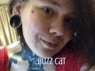 Buzz_Cat