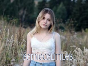 Berniecelittleb