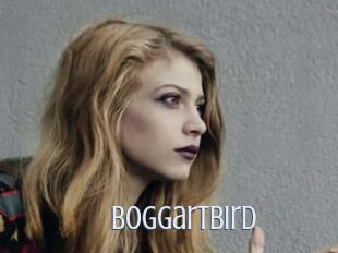 Boggartbird