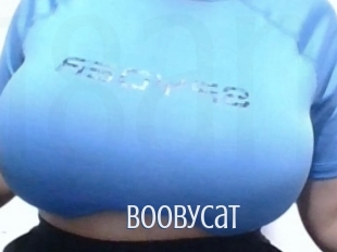 Boobycat
