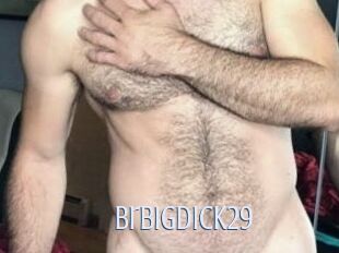 Brbigdick29