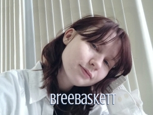 Breebaskett