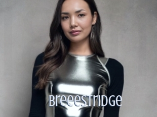 Breeestridge
