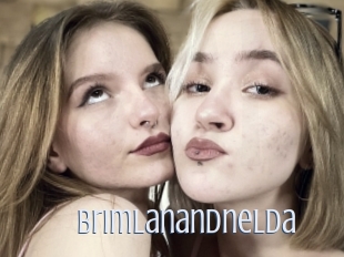 Brimlanandnelda