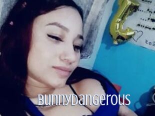 Bunnydangerous