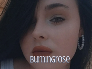 Burningrose