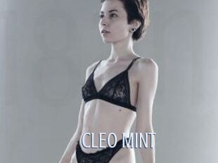 CLEO_MINT