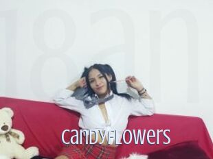 Candyflowers