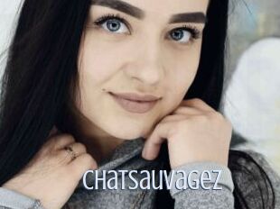 ChatSauvageZ