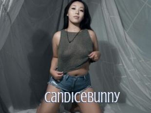 Candicebunny