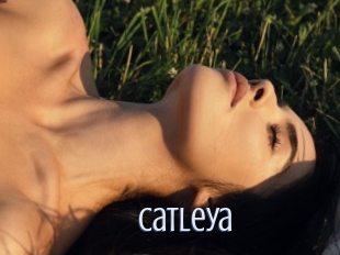 Catleya