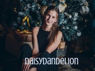 DaisyDandelion