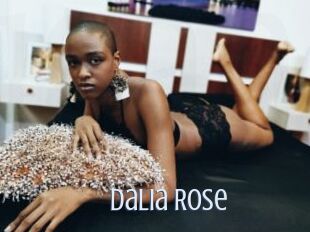 Dalia_Rose