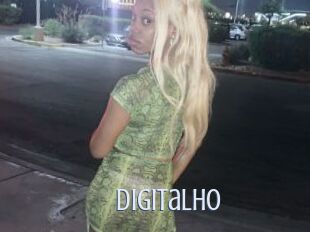 DigitalHO