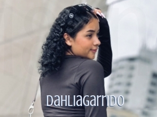 Dahliagarrido