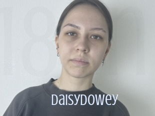 Daisydowey