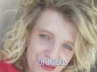 Dragibus