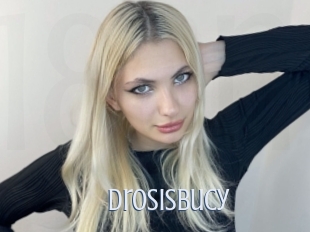 Drosisbucy