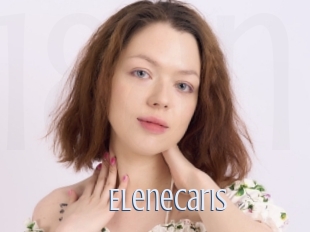 Elenecaris