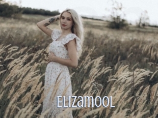 Elizamool