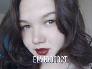 Elviaarnet