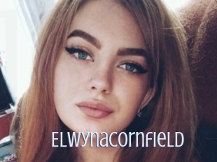 Elwynacornfield