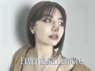 Elwynagallamore