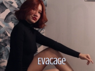 Evacage