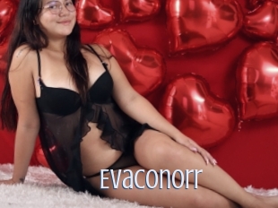 Evaconorr