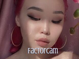 FactorCam