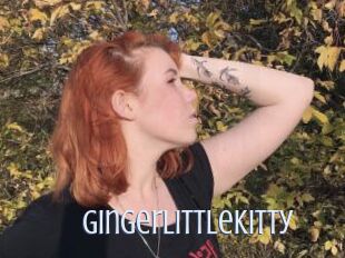 GingerLittleKitty