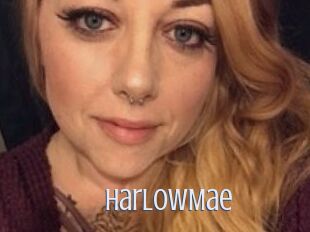 Harlow_Mae