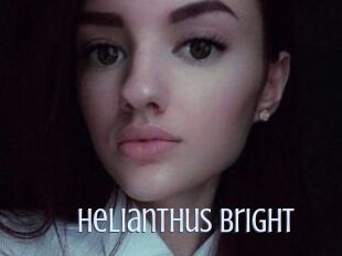 Helianthus_Bright