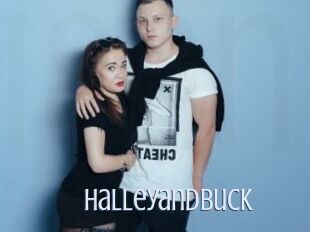 Halleyandbuck