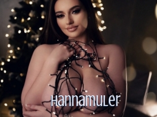 Hannamuler