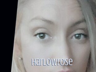 Harlowrose