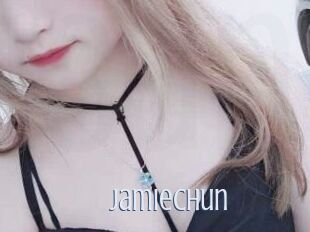 JamieChun